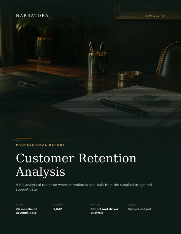 Professional Report sample — Customer Retention Analysis